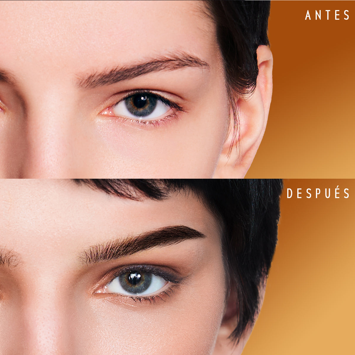 GENESIS Lápiz para Cejas Larga Duración